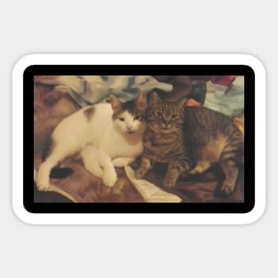 Cat Lover Gifts. Adorable Feline Bond Sticker